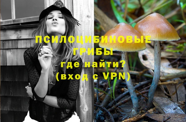 Альфа ПВП Арсеньев